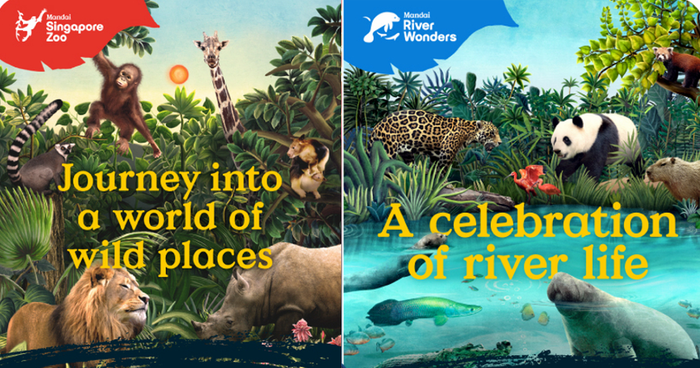 Enjoy 50% off admission to Singapore Zoo and River Wonders if you are a local resident from 8 - 15 March 2023